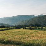Гробље на потесу Доње њиве у Дубоком (фото Бојан Радојичић)