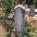 Споменик Манојлу Клопановићу на гробљу на потесу Павићи у Горјанима (фото Бојан Радојичић)