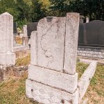 Споменик Светиславу О. Веснићу на гробљу на потесу Стране у Горјанима (фото Бојан Радојичић)