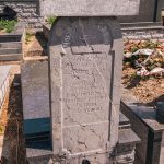 Споменик Манојлу Т. Савићу на гробљу на потесу Стране у Горјанима (фото Бојан Радојичић)