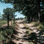 Гробље у Брковићима у Дријетњу, Качер (фото Бојан Радојичић)