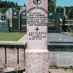 Споменик Велимиру и Драгомиру Танасковићима на гробљу на Главици у Дријетњу, Качер (фото Бојан Радојичић)