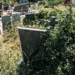 Споменик Љубомиру Танасковићу на гробљу на Главици у Дријетњу, Качер (фото Бојан Радојичић)