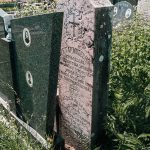 Споменик Младену Мићевићу на гробљу на Главици у Дријетњу, Качер (фото Бојан Радојичић)