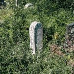 Споменик Илији Танасковићу на гробљу на Главици у Дријетњу, Качер (фото Бојан Радојичић)