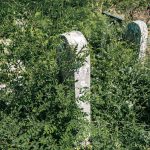 Споменик Ивану Танасковићу на гробљу на Главици у Дријетњу, Качер (фото Бојан Радојичић)