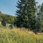Гробље на потесу Братиновићи у Карану (фото Бојан Радојичић)