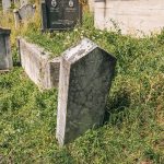 Споменик Светолику Савићу на гробљу на потесу Братиновићи у Карану (фото Бојан Радојичић)