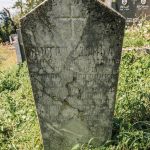 Споменик Светолику Савићу на гробљу на потесу Братиновићи у Карану (фото Бојан Радојичић)