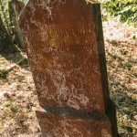 Споменик Љубомиру Танасковићу на гробљу на потесу Ћитића вис у Карану (фото Бојан Радојичић)