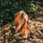 Споменик Љубомиру Танасковићу на гробљу на потесу Ћитића вис у Карану (фото Бојан Радојичић)