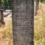 Споменик Милошу Радојичићу на гробљу на потесу Ћуковци у Карану (фото Бојан Радојичић)