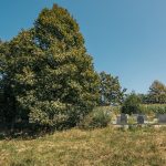 Гробље у Лелићима, Каран (фото Бојан Радојичић)