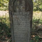 Споменик Михајлу Јовановићу на гробљу у Лелићима, Каран (фото Бојан Радојичић)