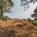 Леонтијевића гробље у Доњим Лелићима, Каран (фото Бојан Радојичић)