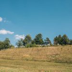 Гробље на потесу Поље у Карану (фото Бојан Радојичић)