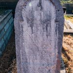 Споменик Радисаву Петровићу на гробљу на потесу Луке у Поточањима, Крвавци (фото Бојан Радојичић)