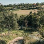 Гробље на потесу Орнице у Поточањима, Крвавци (фото Бојан Радојичић)