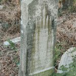Споменик Чедомиру Љубојевићу на гробљу на потесу Орнице у Поточањима, Крвавци (фото Бојан Радојичић)