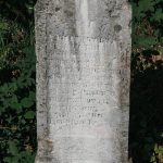 Споменик Јевту Токмаковићу на гробљу на Павловића брду у Поточањима, Крвавци (фото Бојан Радојичић)