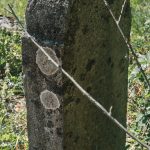 Споменик Јевту Токмаковићу на гробљу на Павловића брду у Поточањима, Крвавци (фото Бојан Радојичић)