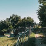 Гробље на Радовића брду у Поточањима, Крвавци (фото Бојан Радојичић)