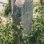 Споменик Драгутину Јовановићу на гробљу у Потпећу, Крвавци (фото Бојан Радојичић)