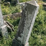 Споменик Љубомиру М. Ћитићу на гробљу у Тоскићима, Љубање (фото Бојан Радојичић)