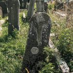 Споменик Благоју Тешовићу на гробљу у Тоскићима, Љубање (фото Бојан Радојичић)