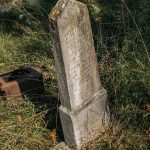 Споменик Драгомиру Милинковићу на гробљу код школе у Никојевићима (фото Бојан Радојичић)