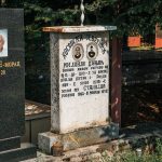 Споменик Мијаилу Дуњићу на гробљу код школе у Никојевићима (фото Бојан Радојичић)