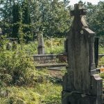Гробље код школе у Никојевићима (фото Бојан Радојичић)