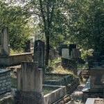 Гробље код школе у Никојевићима (фото Бојан Радојичић)