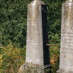 Споменик Томи Цицварићу на гробљу код школе у Никојевићима (фото Бојан Радојичић)