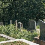 Гробље код школе у Никојевићима (фото Бојан Радојичић)