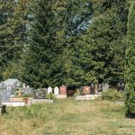 Гробље код школе у Никојевићима (фото Бојан Радојичић)
