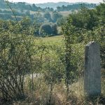 Крајпуташ Веселину Ћетковићу у Никојевићима (фото Бојан Радојичић)