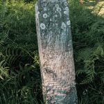 Споменик Радисаву Ћосовићу на гробљу у Гајевима, Севојно (фото Бојан Радојичић)
