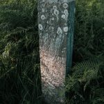 Споменик Радисаву Ћосовићу на гробљу у Гајевима, Севојно (фото Бојан Радојичић)