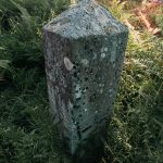 Споменик Радисаву Ћосовићу на гробљу у Гајевима, Севојно (фото Бојан Радојичић)