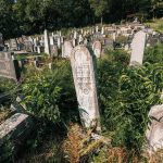Споменик Чедомиру Ј. Оташевићу на гробљу у Гајевима, Севојно (фото Бојан Радојичић)