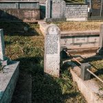 Споменик Видосаву Милосавчевићу на гробљу у Гајевима, Севојно (фото Бојан Радојичић)