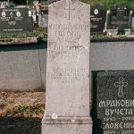 Споменик Богољубу Милосавчевићу на гробљу у Гајевима, Севојно (фото Бојан Радојичић)