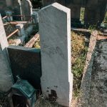 Споменик Богољубу Милосавчевићу на гробљу у Гајевима, Севојно (фото Бојан Радојичић)