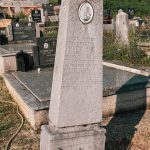 Споменик Илији Средићу на гробљу у Гајевима, Севојно (фото Бојан Радојичић)