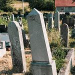 Споменик Илији Средићу на гробљу у Гајевима, Севојно (фото Бојан Радојичић)