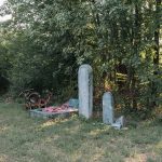 Крајпуташи на пропланку у Гајевима, у Севојну (фото Бојан Радојичић)