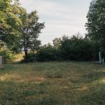 Крајпуташи на пропланку у Гајевима, у Севојну (фото Бојан Радојичић)