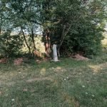 Крајпуташ Мијајилу Новаковићу и Грујици Милосавчевићу на пропланку у Гајевима, у Севојну (фото Бојан Радојичић)