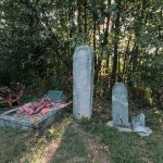 Крајпуташи на пропланку у Гајевима, у Севојну (фото Бојан Радојичић)